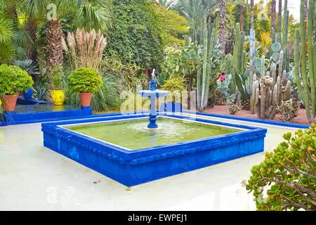 Majorelle Garten in Marrakesch - Blauer Brunnen und Kakteen